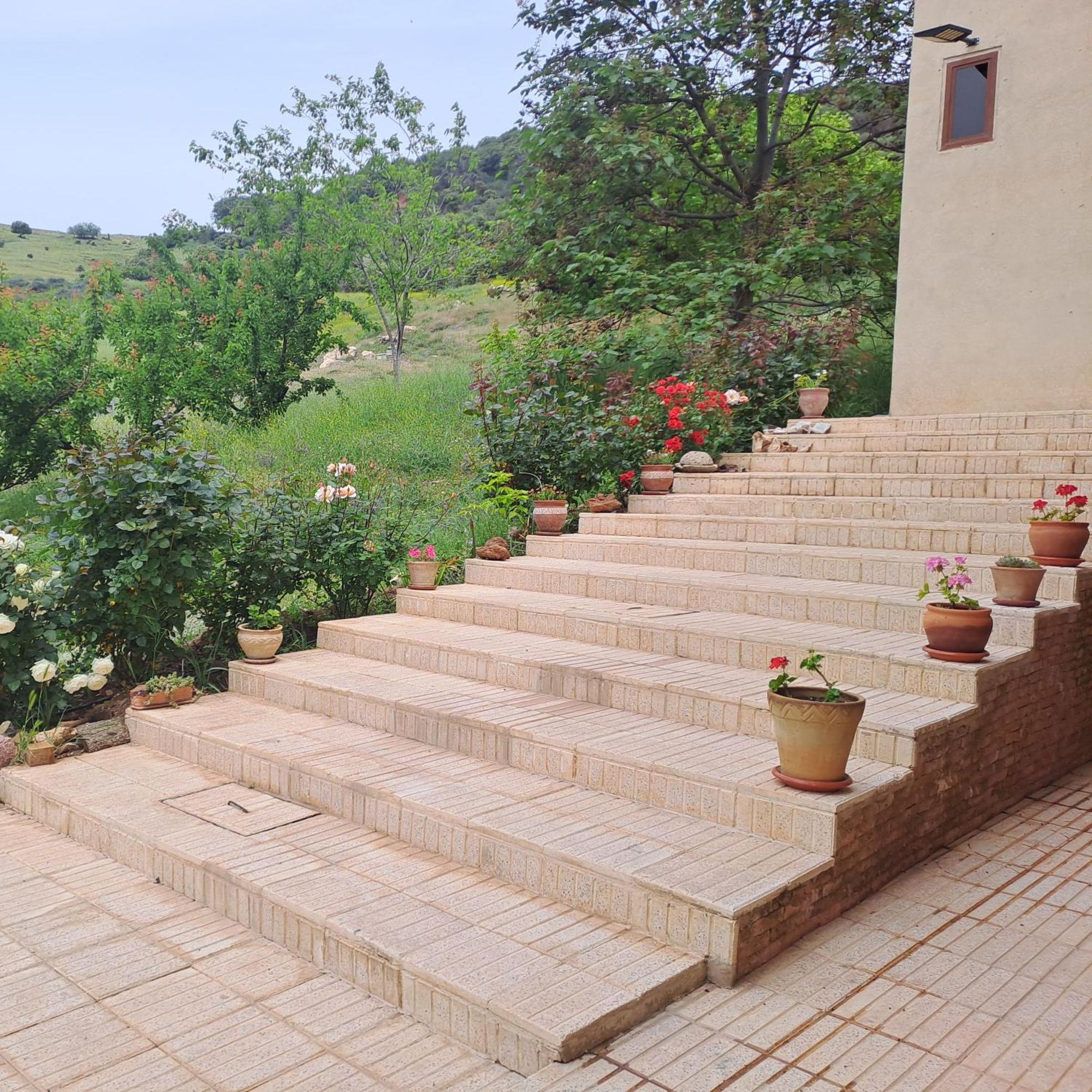 Le Chene D'Azrou Hotel Exterior photo